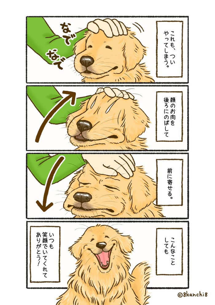 ゴールデンレトリバーについやってしまうことその2(8kanchi8(かんち)さんのXアカウントより)