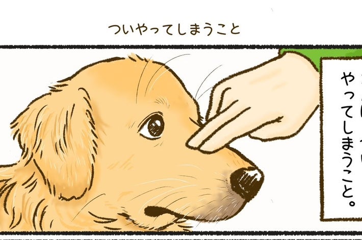 犬に人差し指を鼻にタッチされているイラスト。テキスト: ゴルに、ついやってしまうこと。