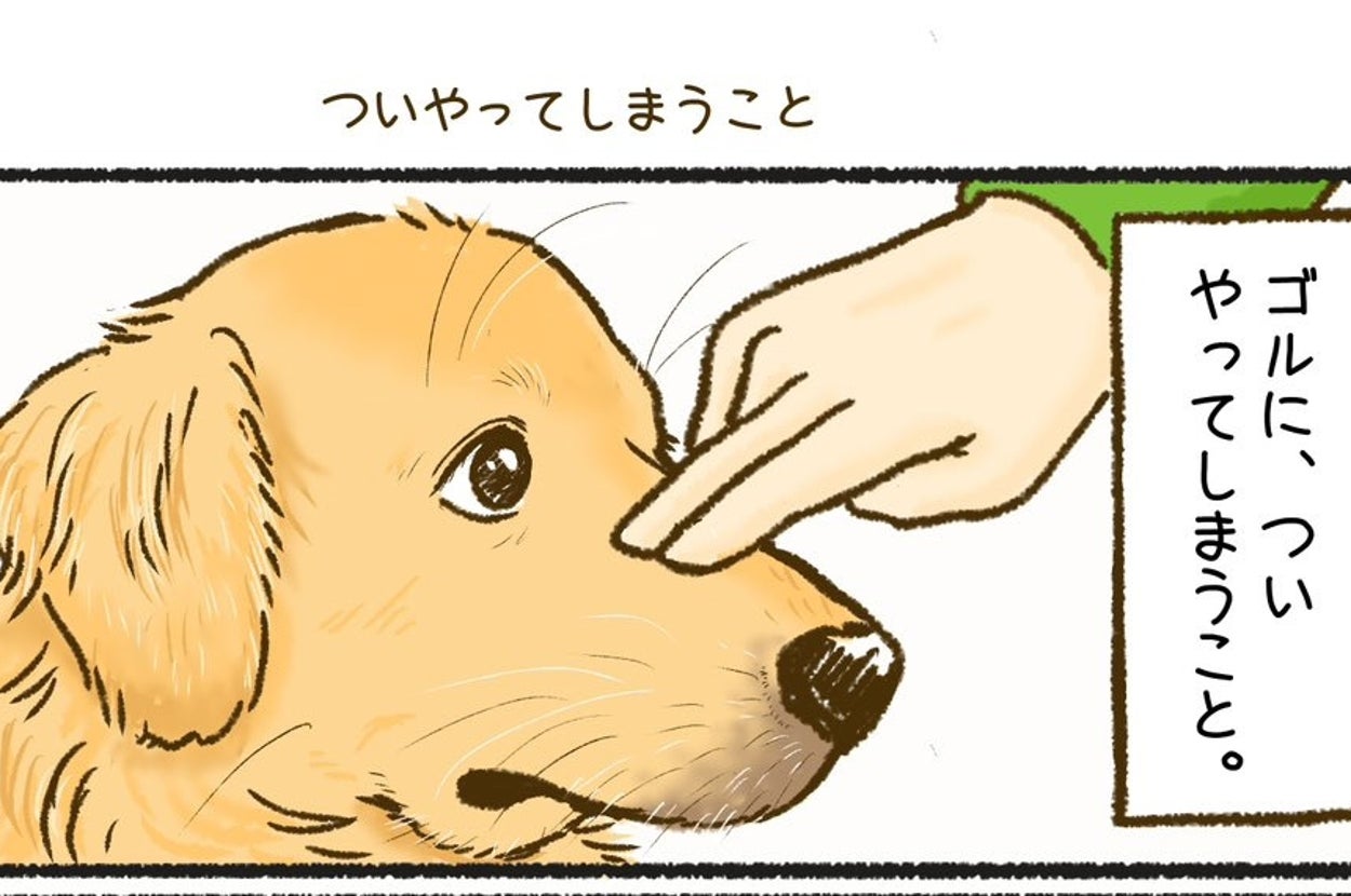 犬に人差し指を鼻にタッチされているイラスト。テキスト: ゴルに、ついやってしまうこと。