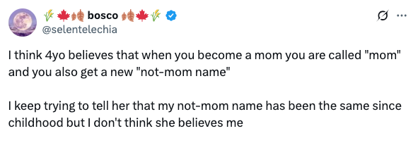 A parent shares a humorous anecdote about their 4-year-old believing parents get new names after becoming "mom."