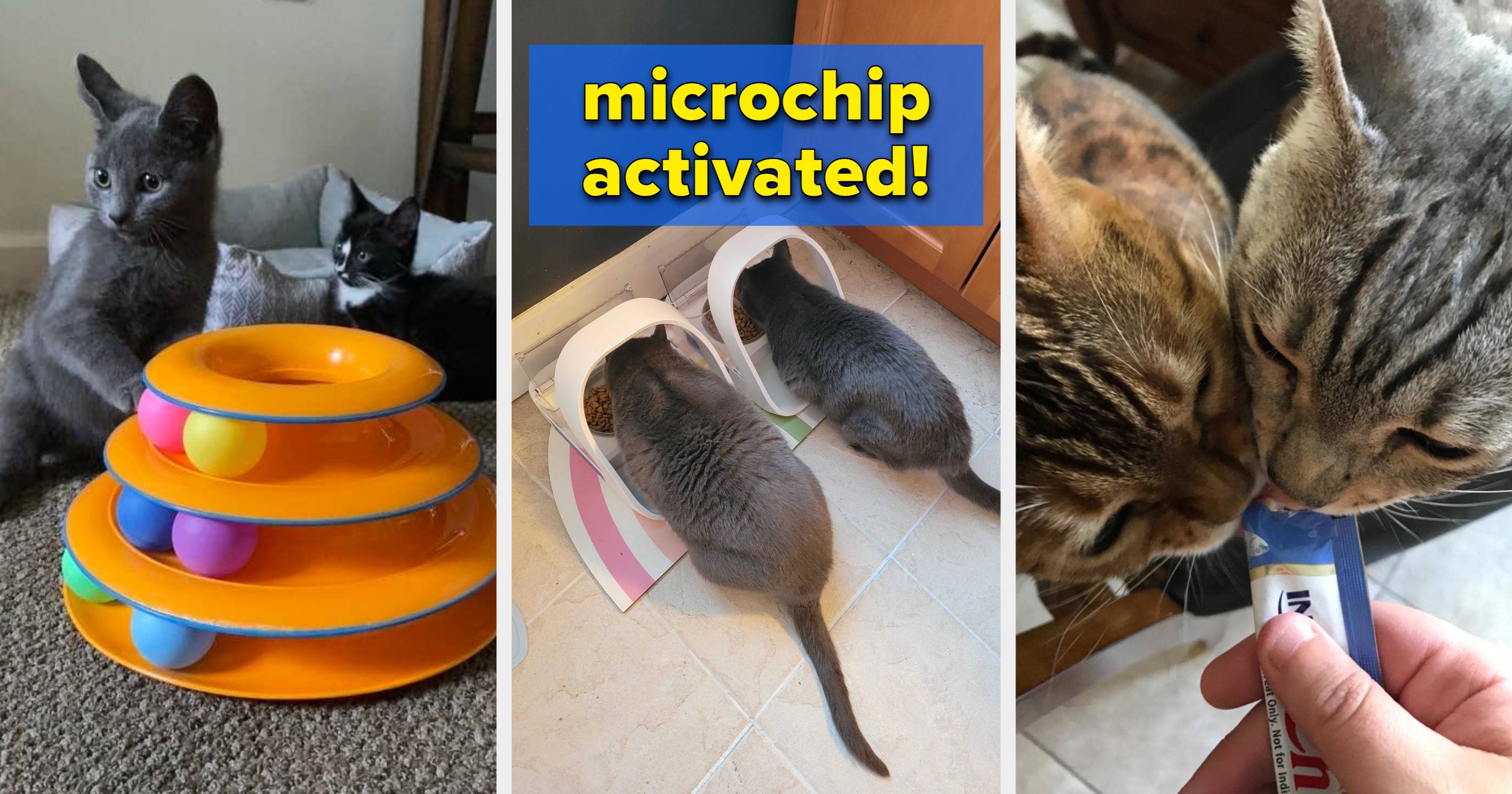 If You Have A House Full Of Cats, Check Out These 35 A+ Products