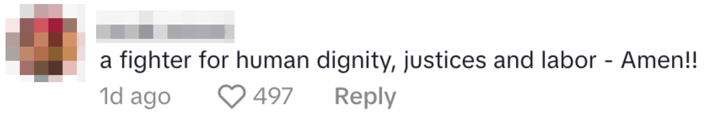Comment by coral venus: "a fighter for human dignity, justice, and labor - Amen!!" 497 likes