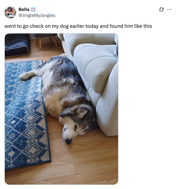 Dog sprawled on floor with his head against a couch, lying on a carpet next to hardwood floor