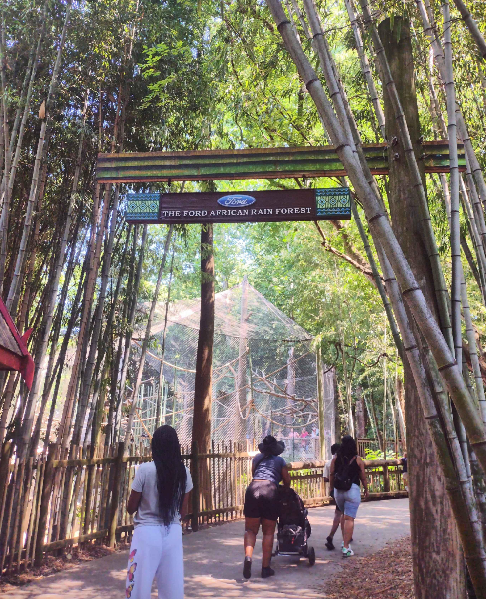 People walk near the entrance sign of "The Ford African Rain Forest" at a zoo, surrounded by tall bamboo and trees