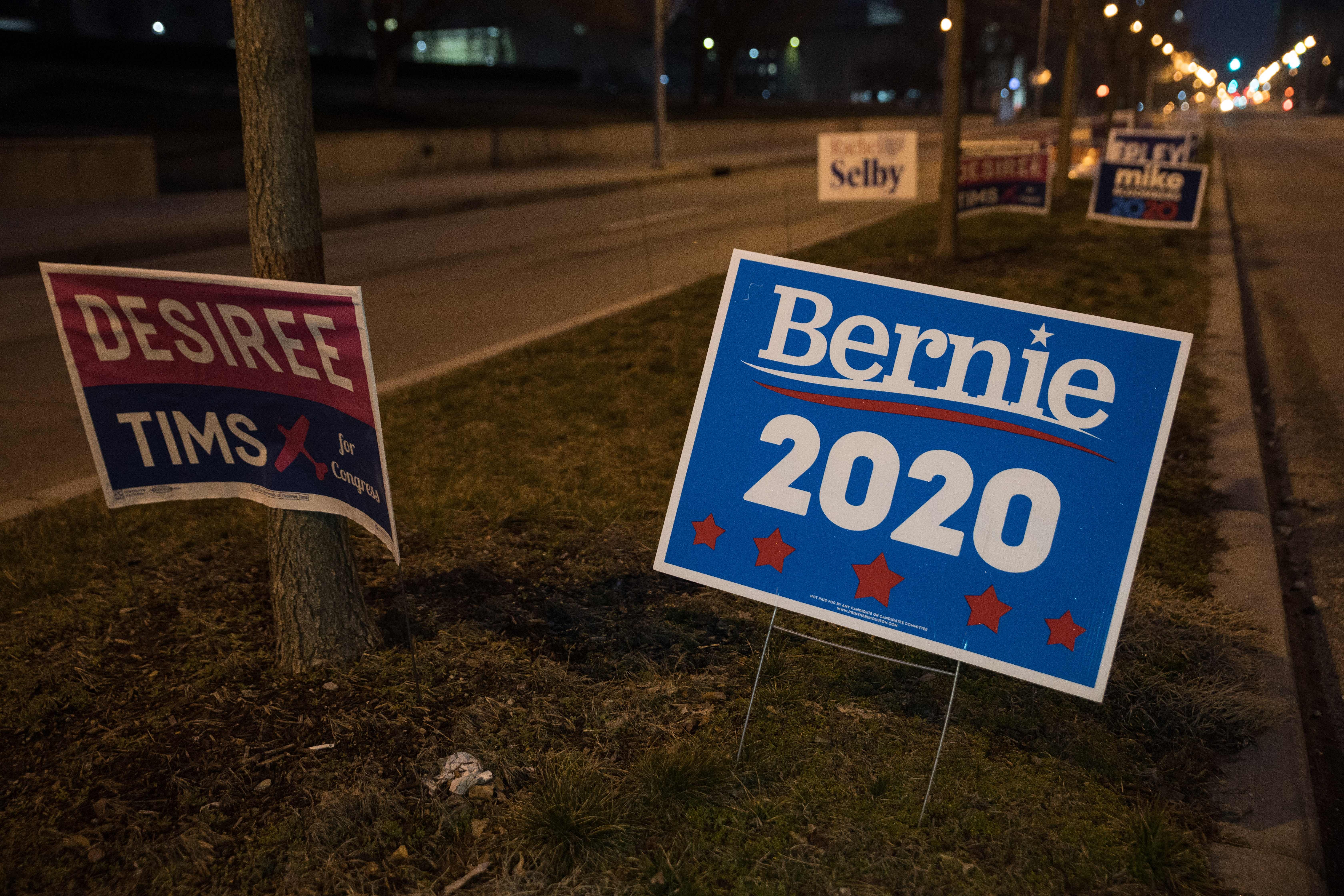 Campaign signs for Bernie 2020 and Desiree Tims along a street, placed in grass near a tree