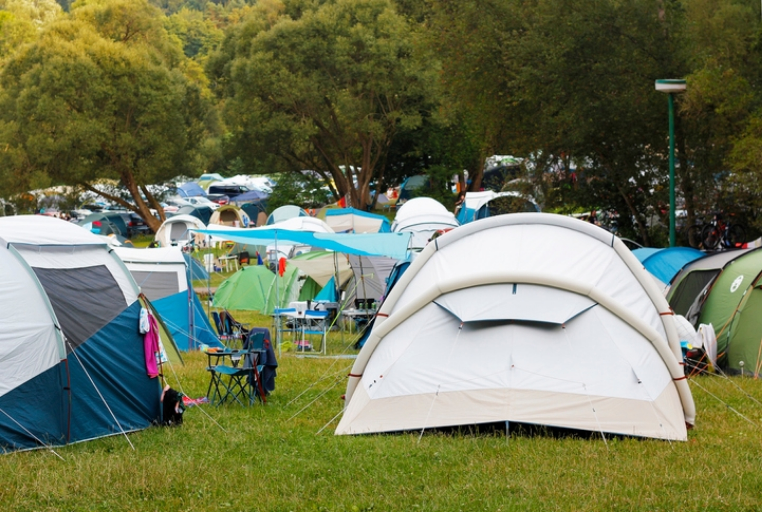 A campsite filled with various tents set up on grassy ground, surrounded by trees in a park-like setting