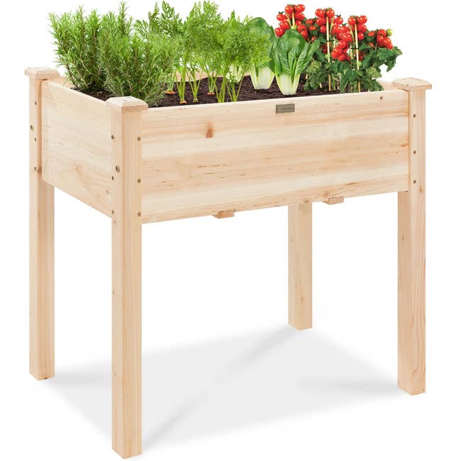 Wooden elevated garden bed with various vegetables and herbs growing. Ideal for urban gardening and small spaces