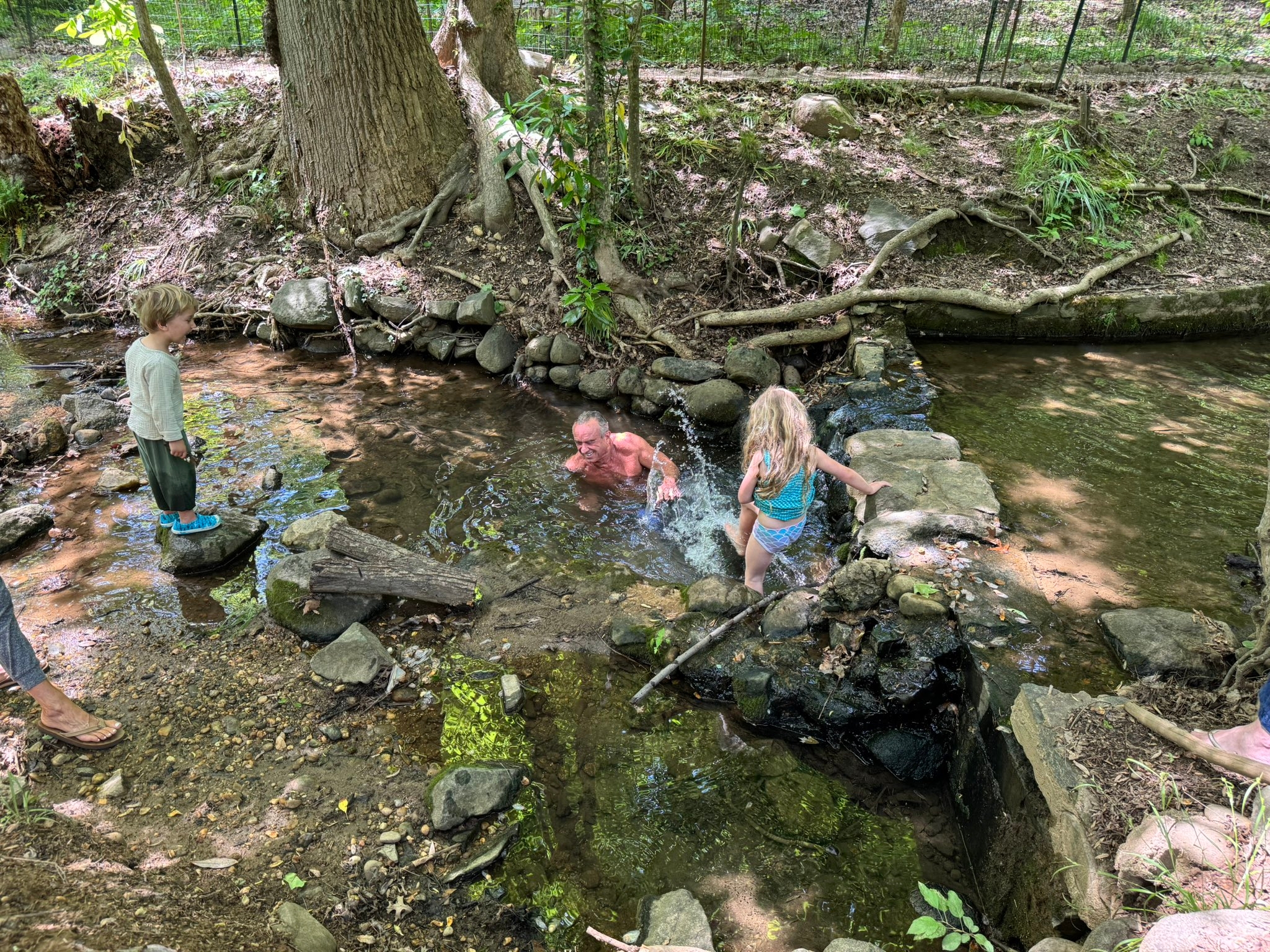 Three children play in a small forest stream, splashing water and balancing on rocks surrounded by trees and greenery