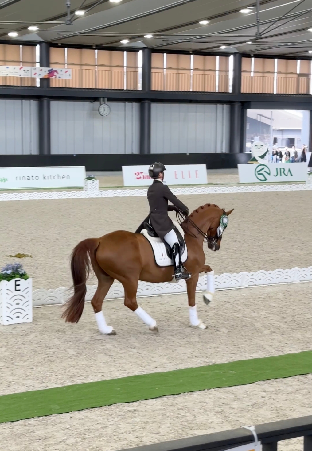 「JRAホースショー」馬場馬術部門の表彰式で周回するデンキーくんと長谷川雄介さん/Effort Stable公式Xアカウント(@EffortStable)より