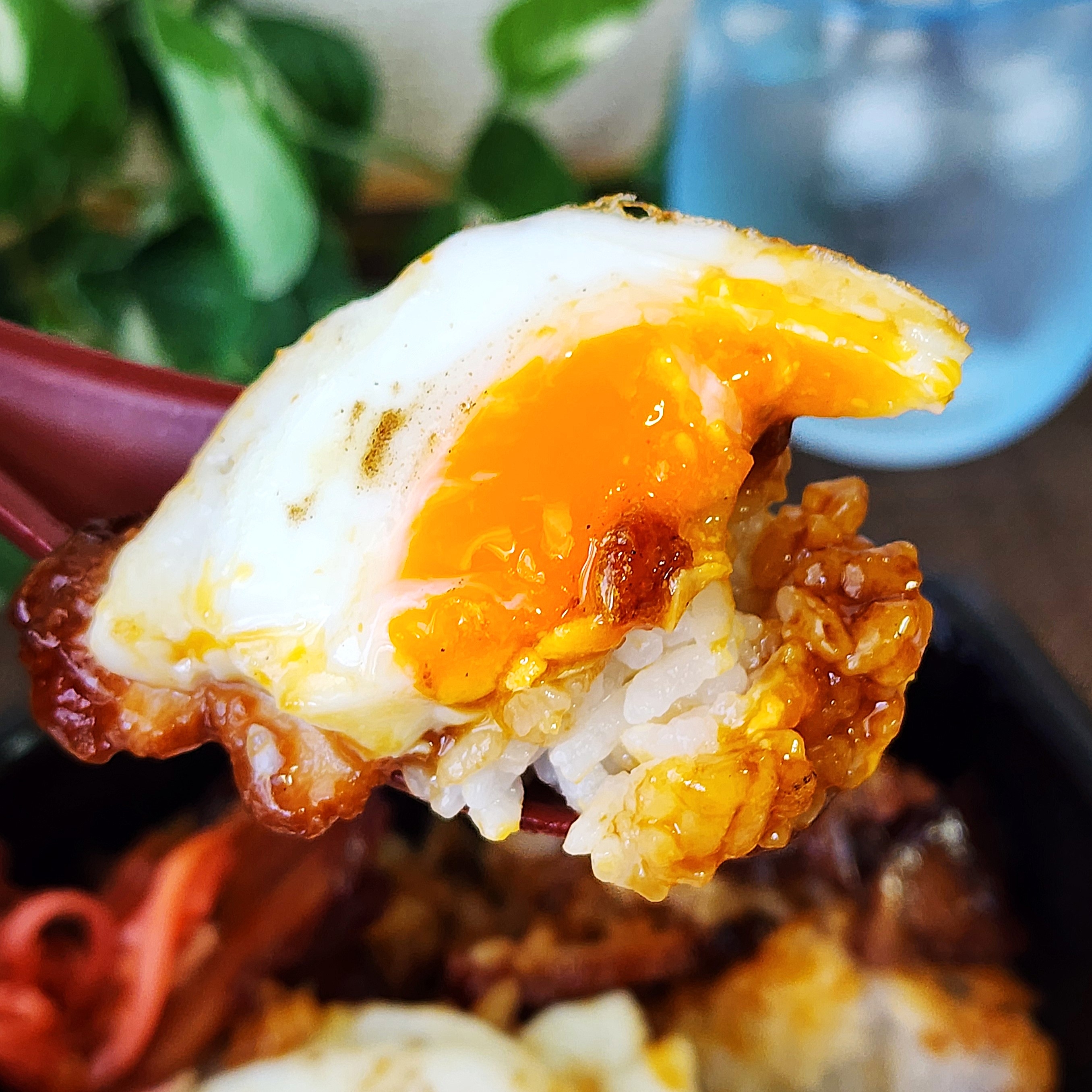 ほっともっと「今治焼豚玉子飯」