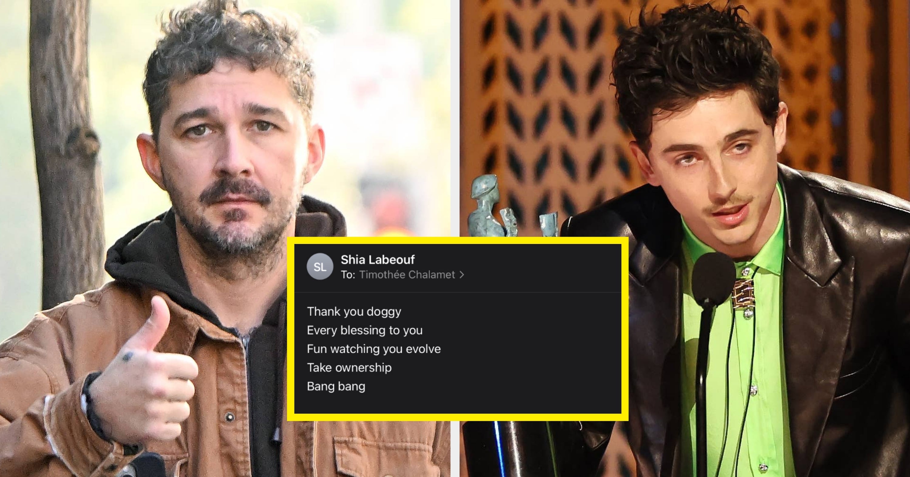 Shia LaBeouf Shut Down Claims He Shaded Timothée Chalamet By Sharing Their Bizarre Email Exchange