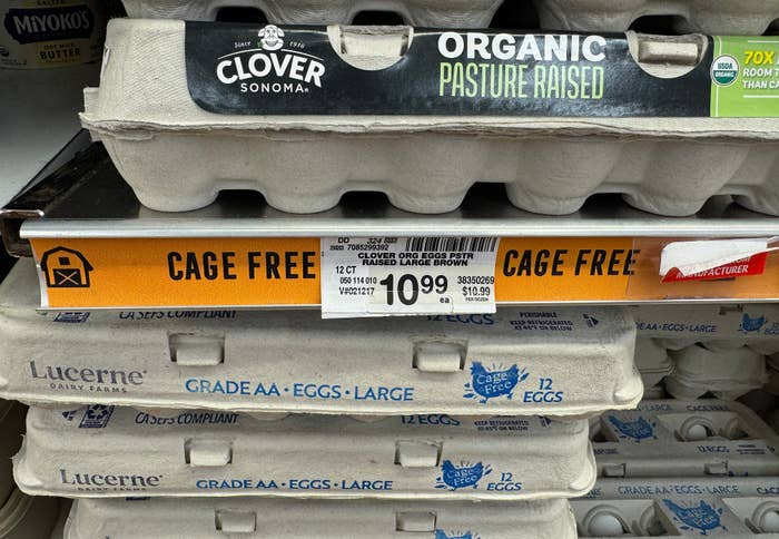 Egg cartons labeled "Organic Pasture Raised" and "Grade AA" on a grocery shelf, with a price tag reading $10.99 for a dozen cage-free eggs