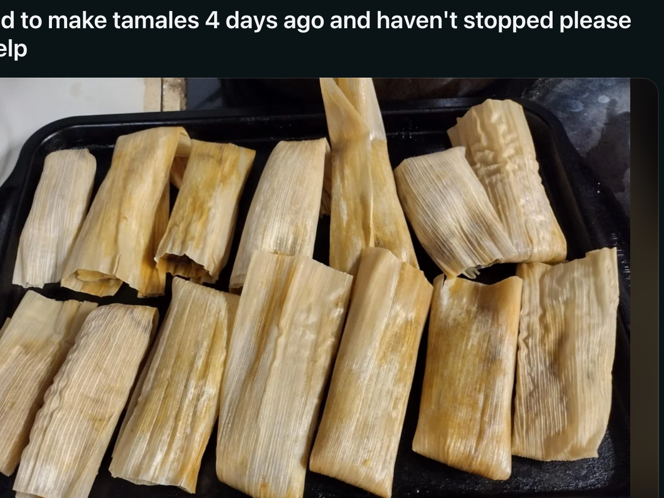 Reddit post from u/timecatsfood featuring a tray of homemade tamales with the caption, "I learned to make tamales 4 days ago and haven't stopped please send help."