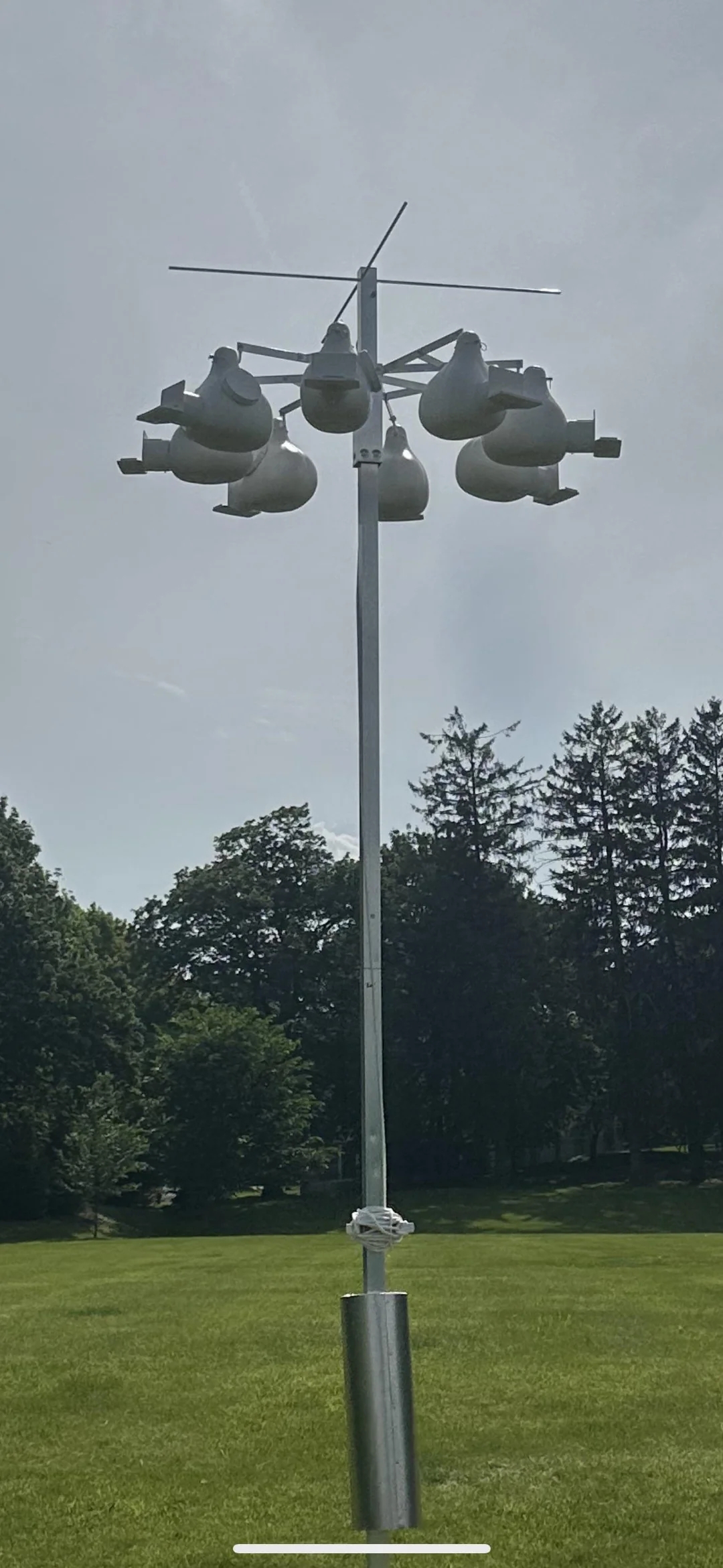 Tall metal pole with multiple birdhouse gourds, set against a backdrop of grass and trees