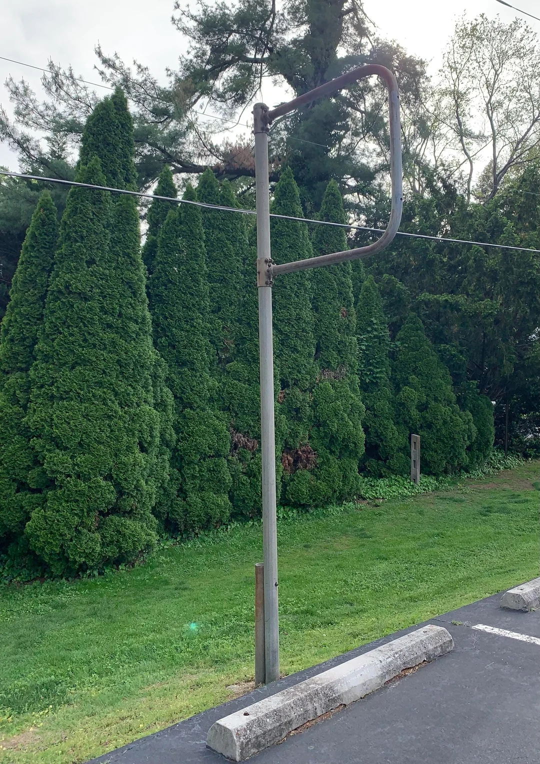 Unusual metal signpost missing its sign, standing near tall, dense trees by a parking area