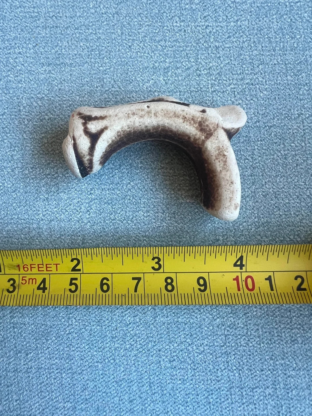 A bent, bone-like object is placed next to a measuring tape, showing it is about 9 cm long