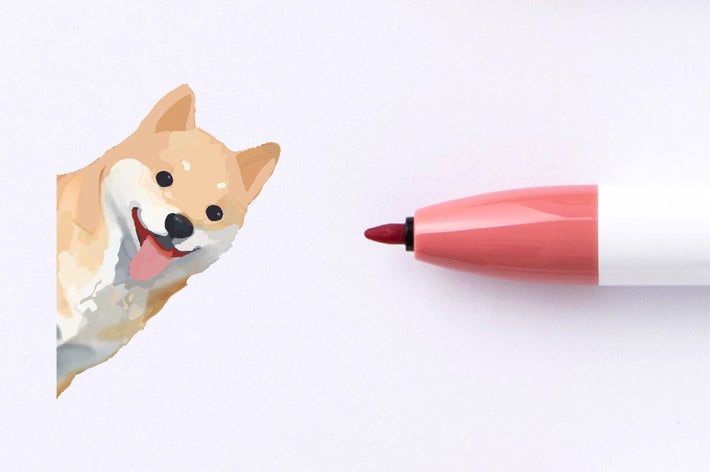 芝生の上に伏せているハスキー犬。舌を出してリラックスしている様子。