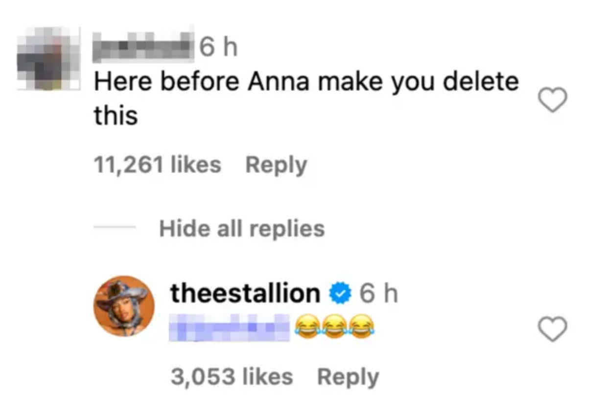 Social media comment joking about Anna making Megan Thee Stallion delete a post, with a laughing reply from Megan