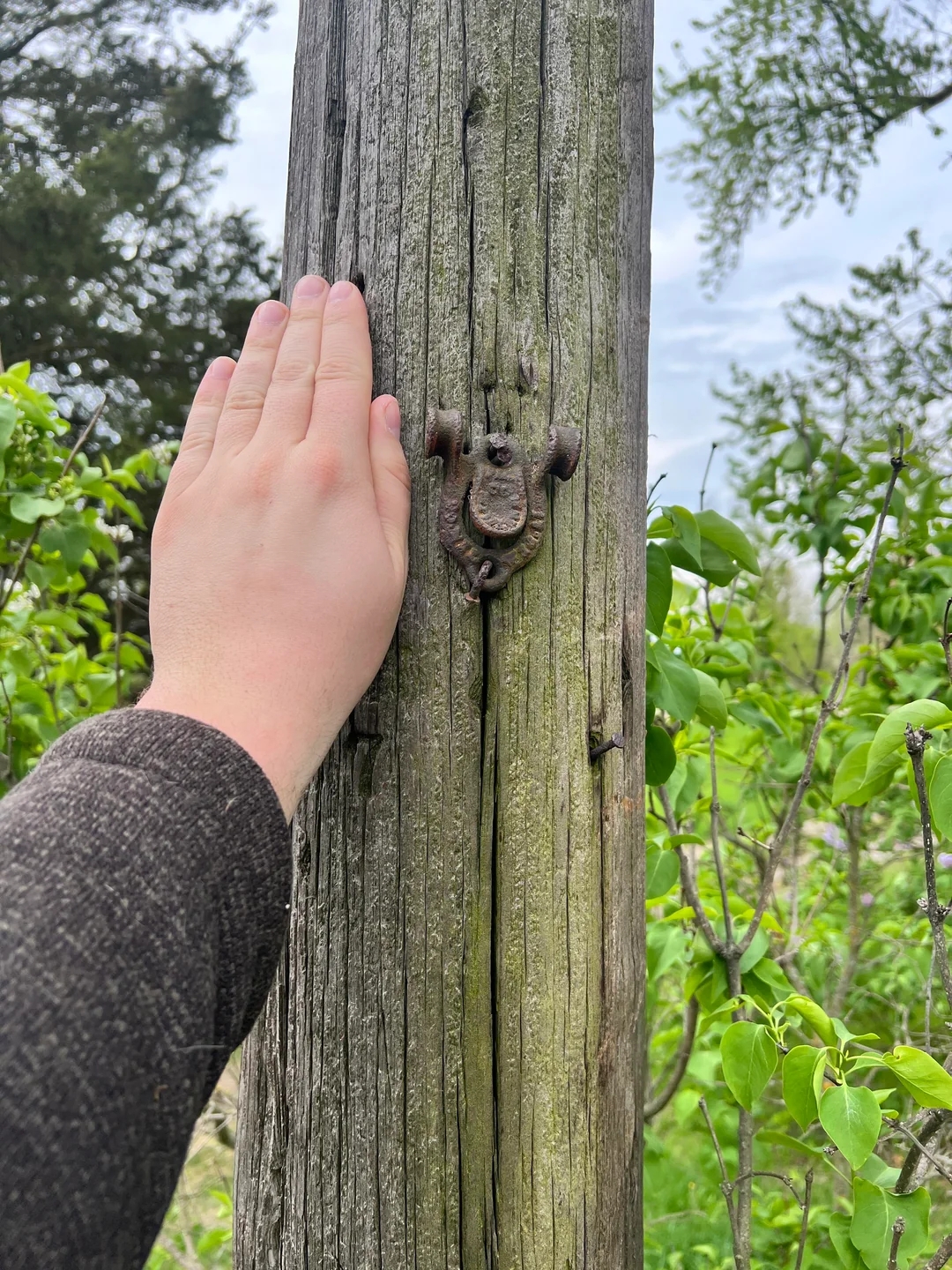 A person's hand touches a weathered wooden post with a small, rusted metal fixture attached, surrounded by greenery