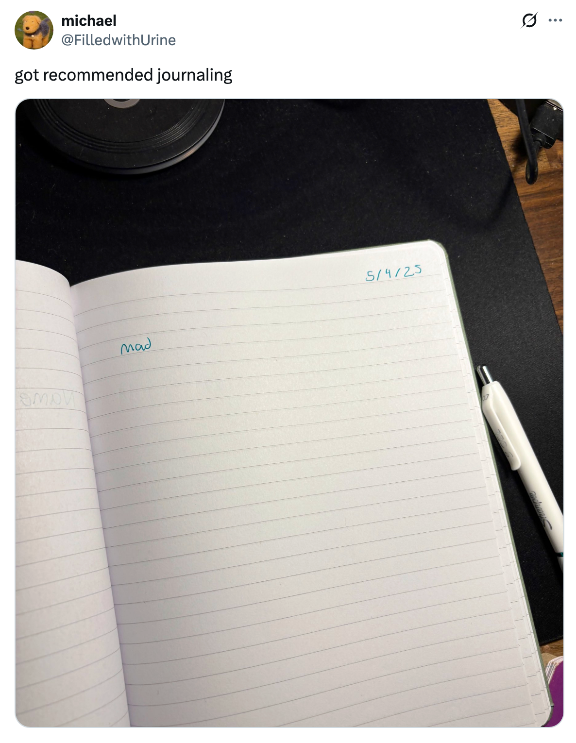 Open notebook showing only one word, "Meow," dated 5/19/23. A pen lies nearby