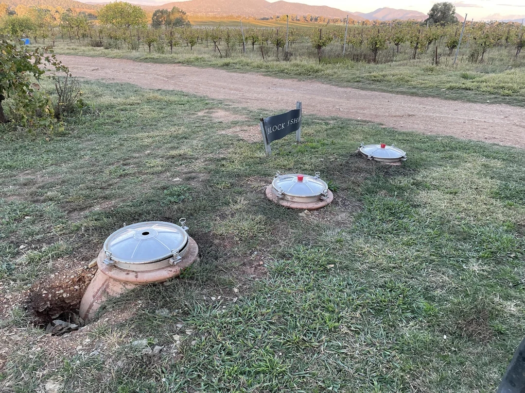 Outdoor vineyard landscape with three irrigation covers on the ground and a small sign nearby. Dirt path and trees in the background