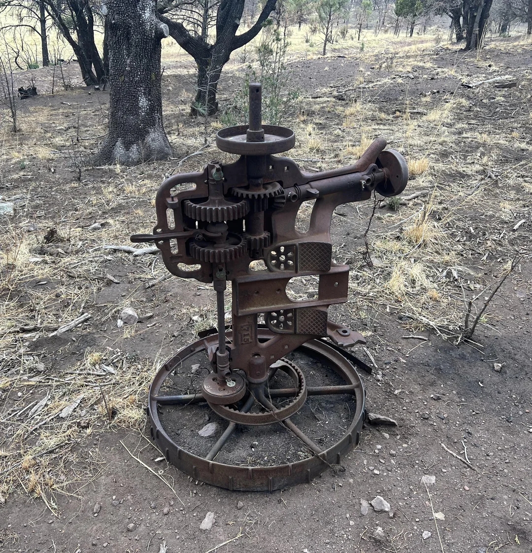 An old, rusted mechanical device with gears and levers stands on a forest floor amidst dry leaves and sparse trees