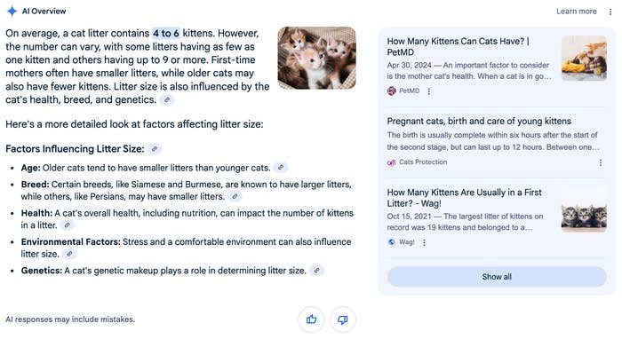 google search results with an AI summary for the question how many kittens in a litter
