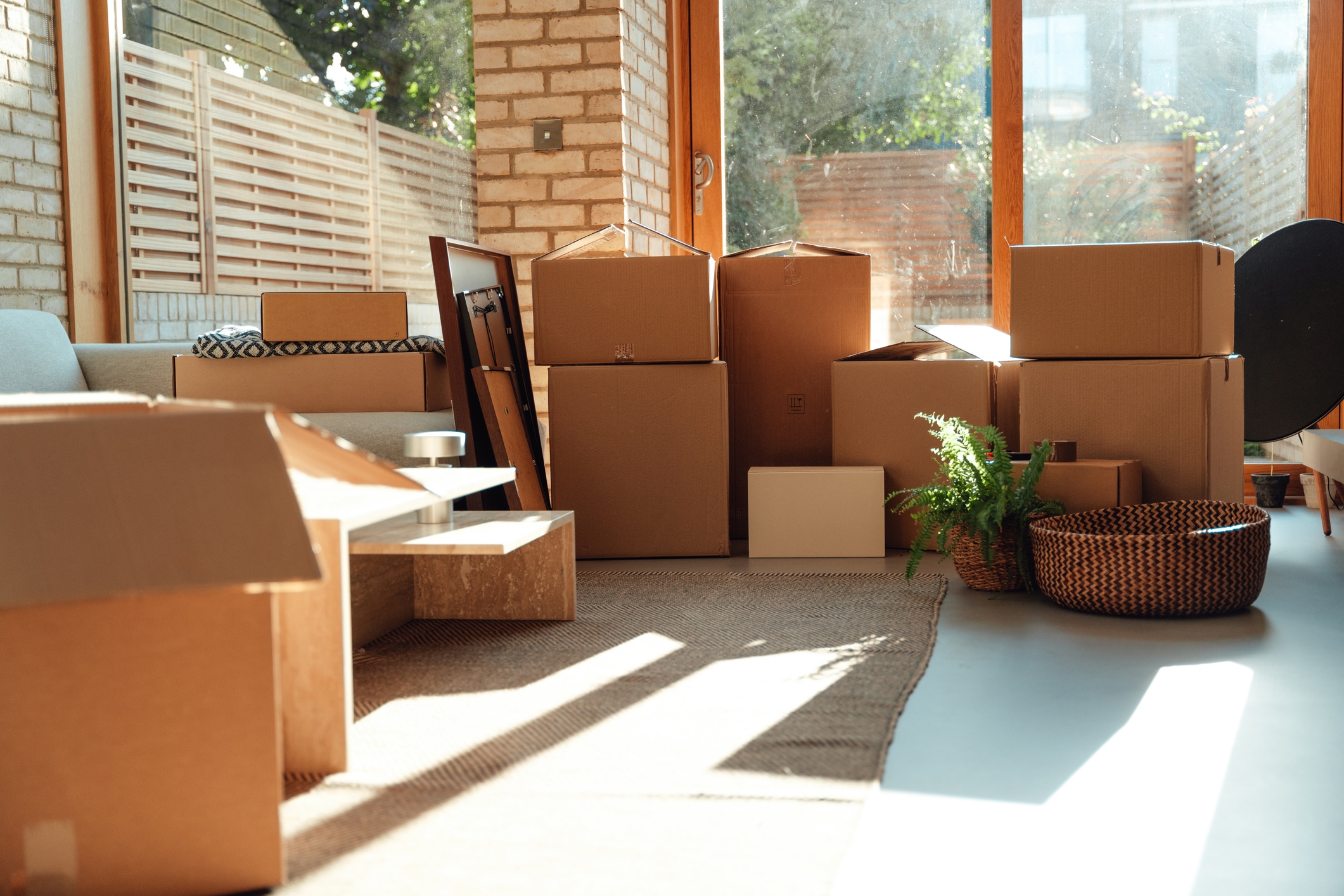 Room filled with packed moving boxes, furniture, and a plant, indicating a recent move or preparation for relocation
