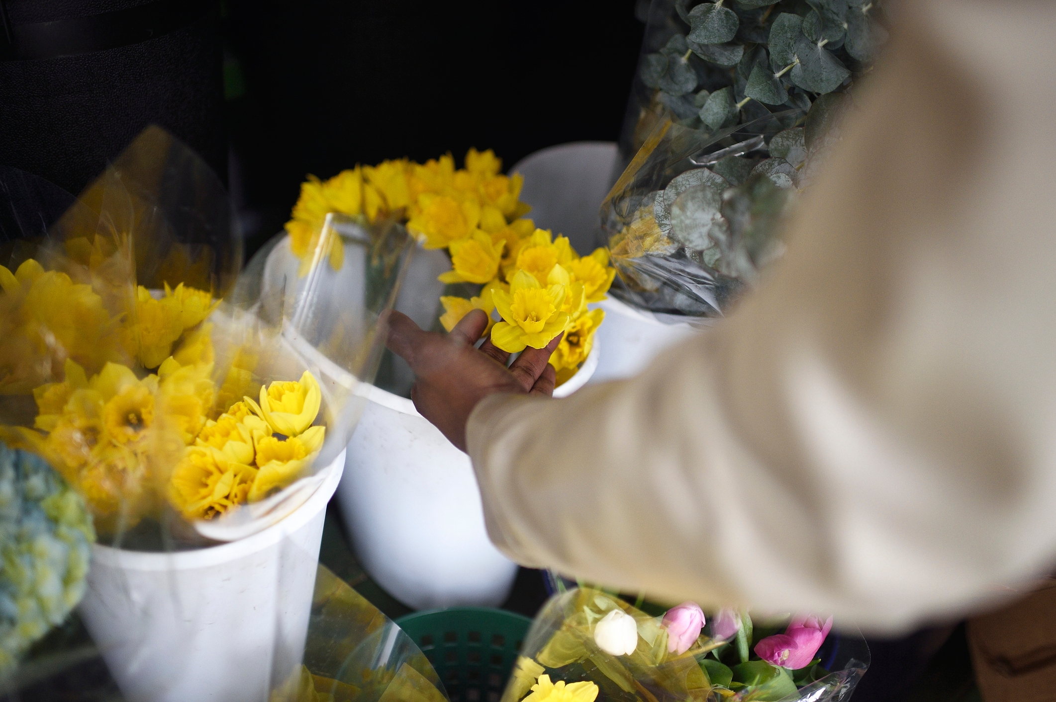 A person reaches for bright flowers among bouquets at a market