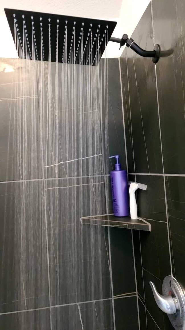 Shower with rainfall showerhead; support holds a purple vessel and achromatic dispenser