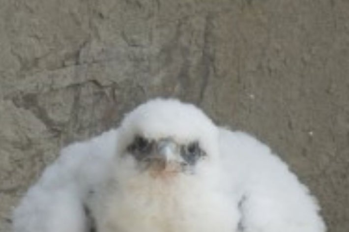 keiさん（@nikon_zzz）のXより