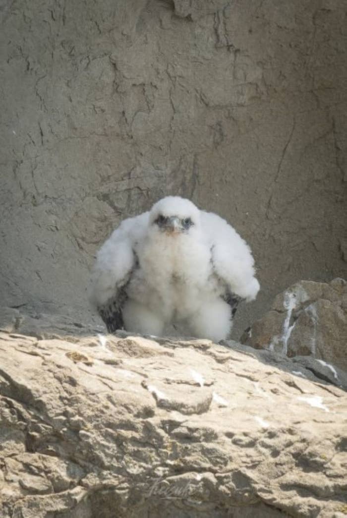 keiさん（@nikon_zzz）のXより