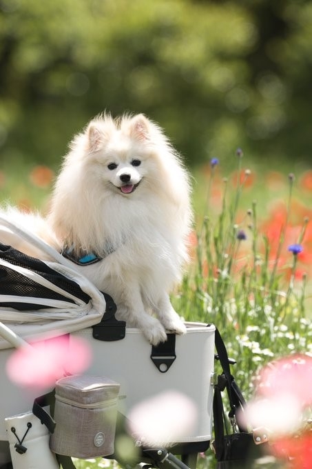 keiさん（@nikon_zzz）が撮影した作品