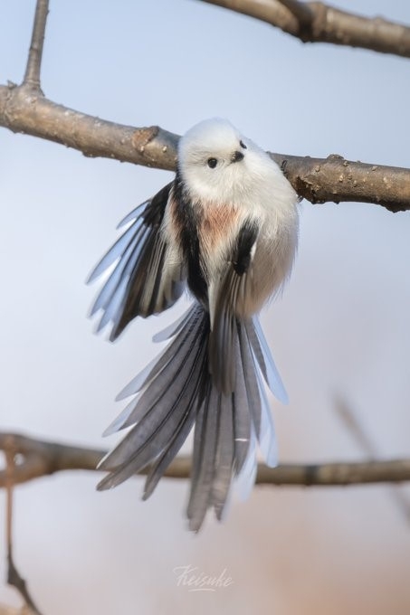 keiさん（@nikon_zzz）が撮影した作品