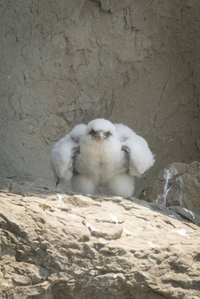 keiさん（@nikon_zzz）のXより