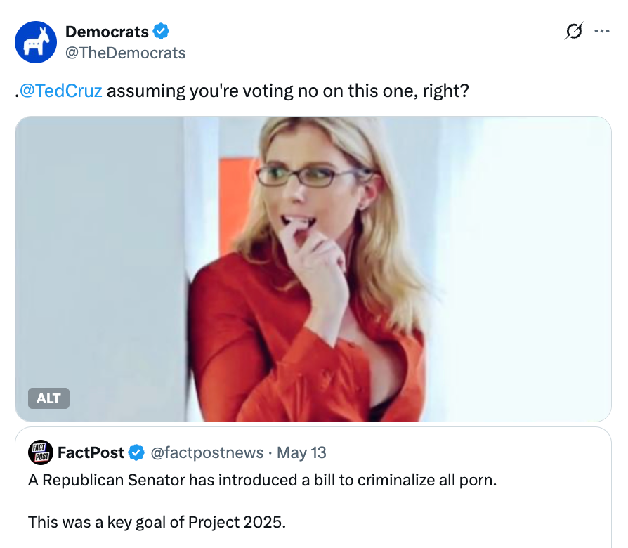 News meme with a woman in glasses; tweet asks if Ted Cruz will vote on a bill to criminalize all porn, calling it a major goal of Project 2025