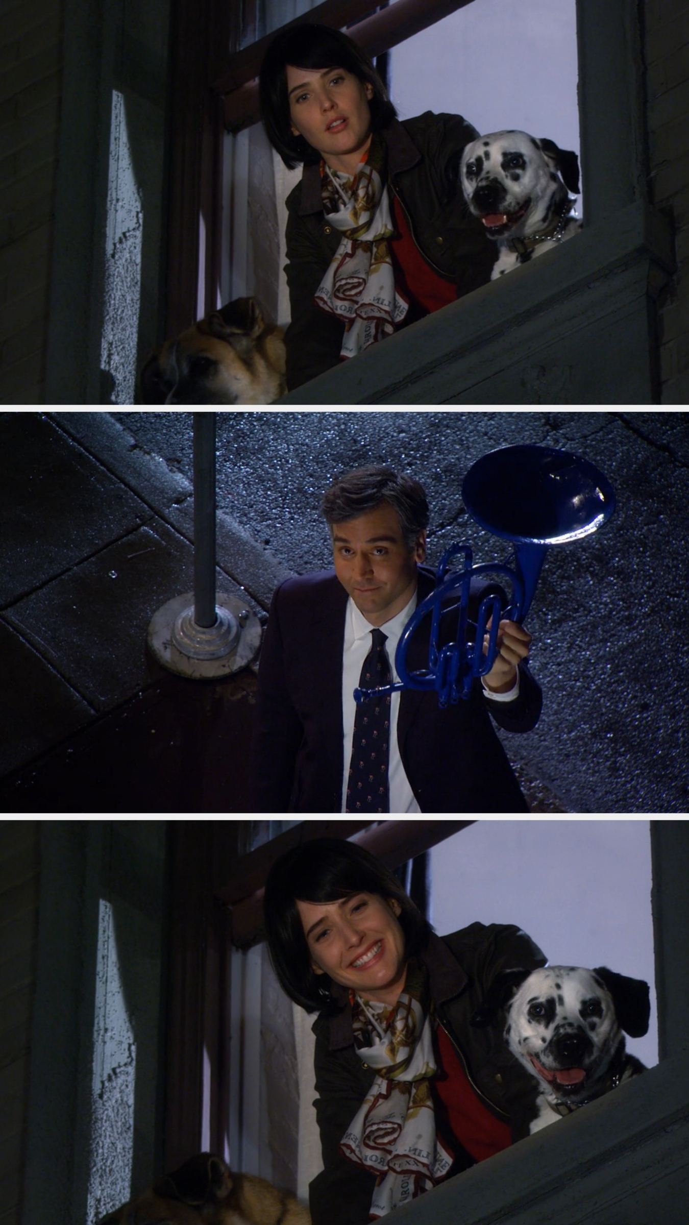 Robin looks out her window to see Ted holding up the blue French horn, and she cries while smiling