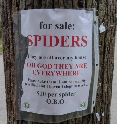 Sign on pole: "For sale: Spiders. They are all over my house. OH GOD THEY ARE EVERYWHERE. $10 per spider O.B.O."