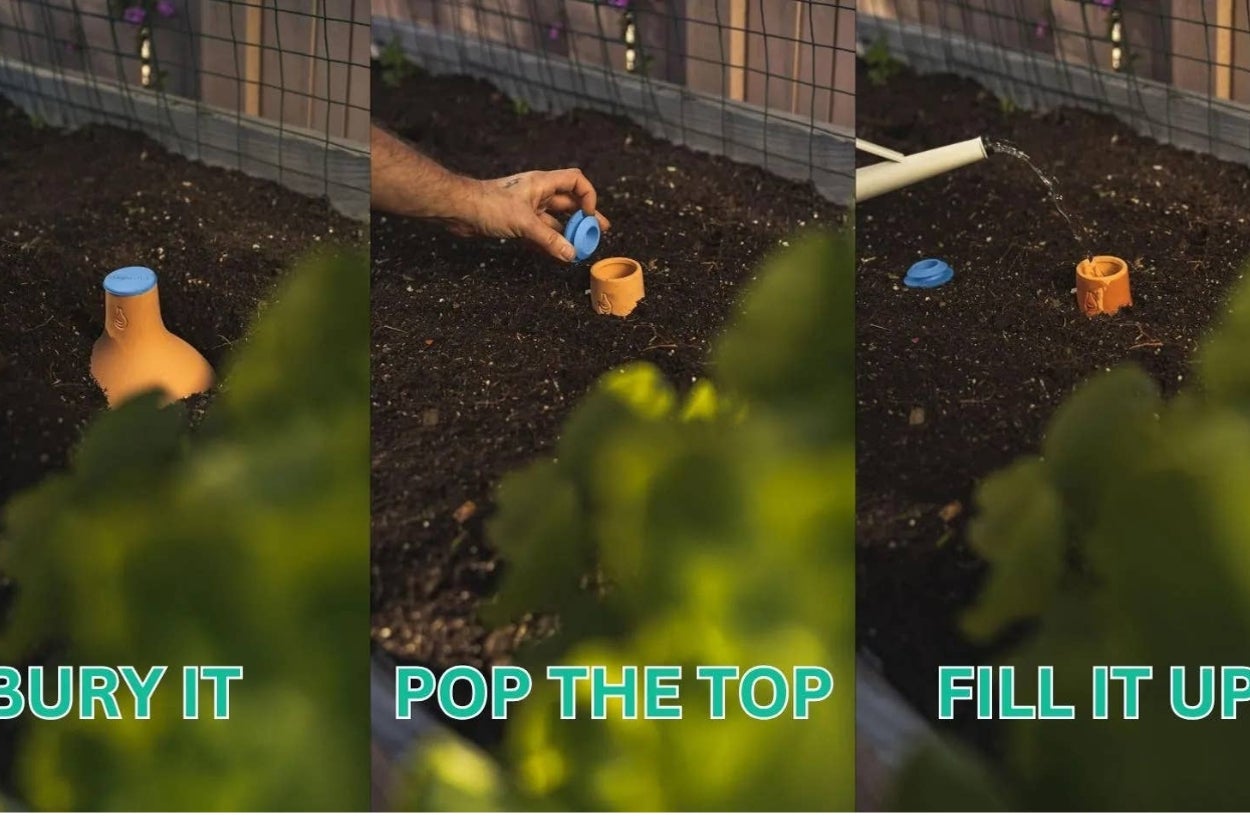 If You're Always Forgetting To Water Your Plants, This Pot Can Do It For You