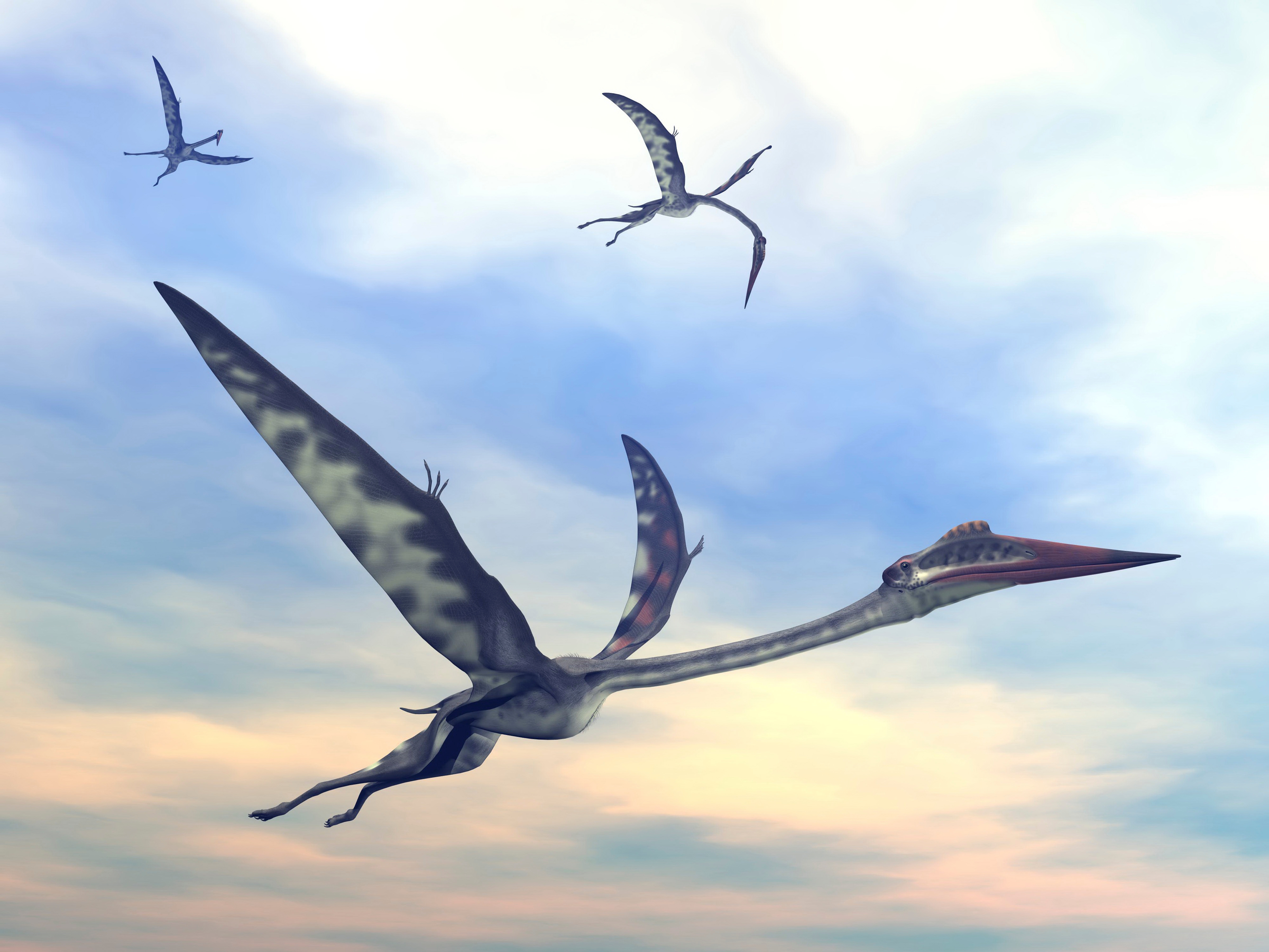 Pterosaurs soaring in the sky with wide wingspans, showcasing diverse postures against a cloudy backdrop