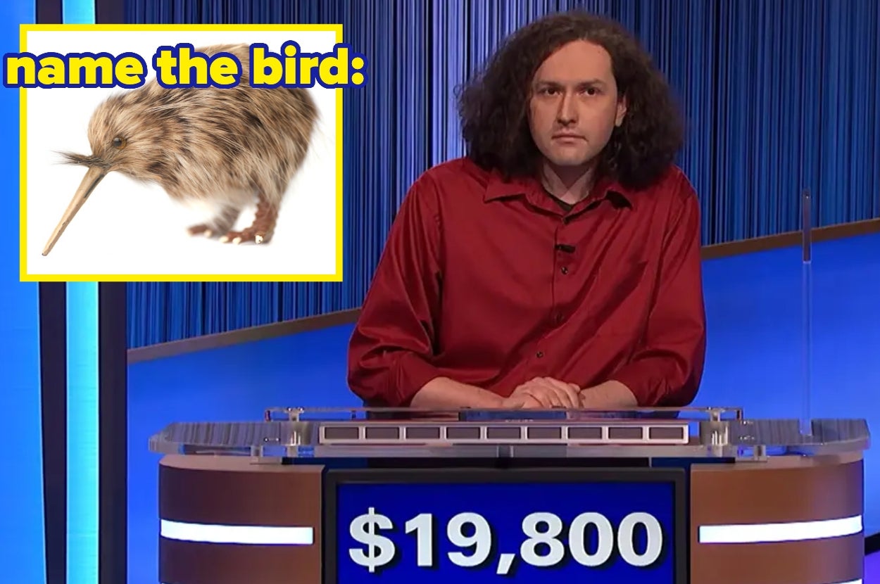 Third Graders Can Easily Pass This Animal-Themed "Jeopardy!" But Adults? Not So Much — Test Yourself