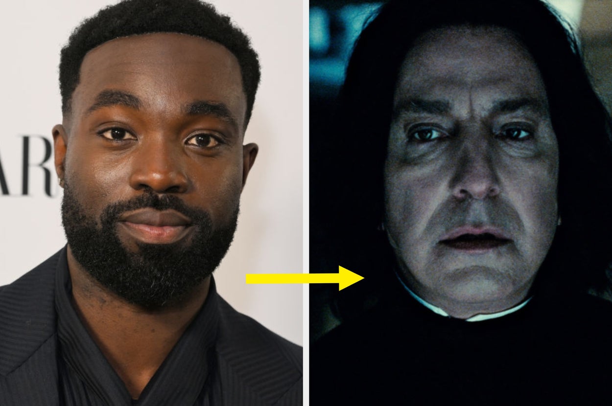 "Harry Potter" followers, how do you actually really feel concerning the upcoming TV present?