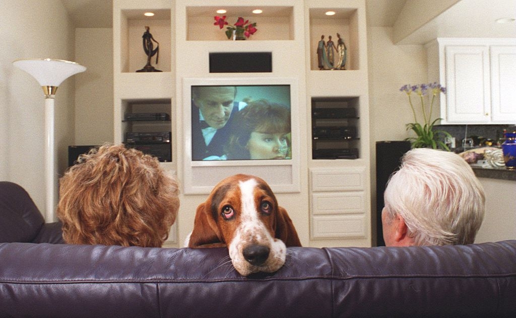 Two people and a basset hound watch a classic film on a home TV. The dog's head is resting on the couch between them