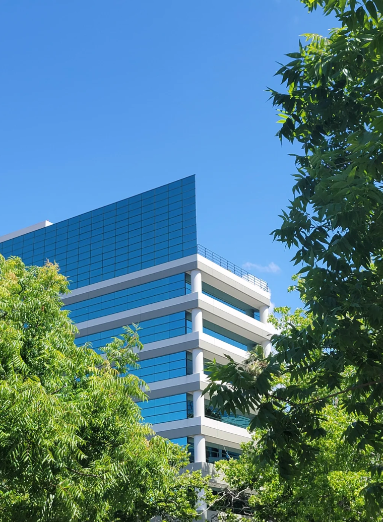 Modern office building with large glass windows, surrounded by lush green trees under a clear blue sky