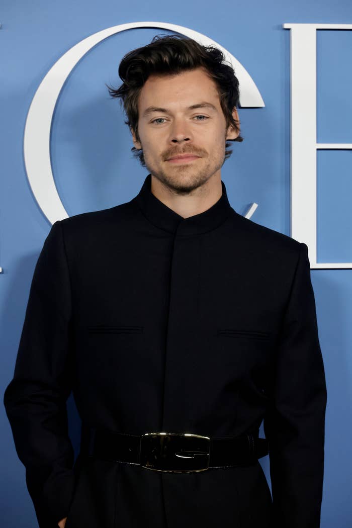 Harry Styles posing connected a reddish carpet