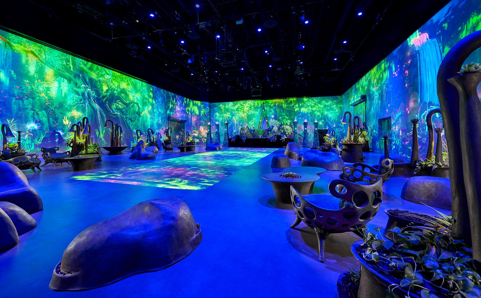 Immersive fantasy-themed room with organic, futuristic furnishings and vibrant projections covering walls and floors, creating a surreal atmosphere