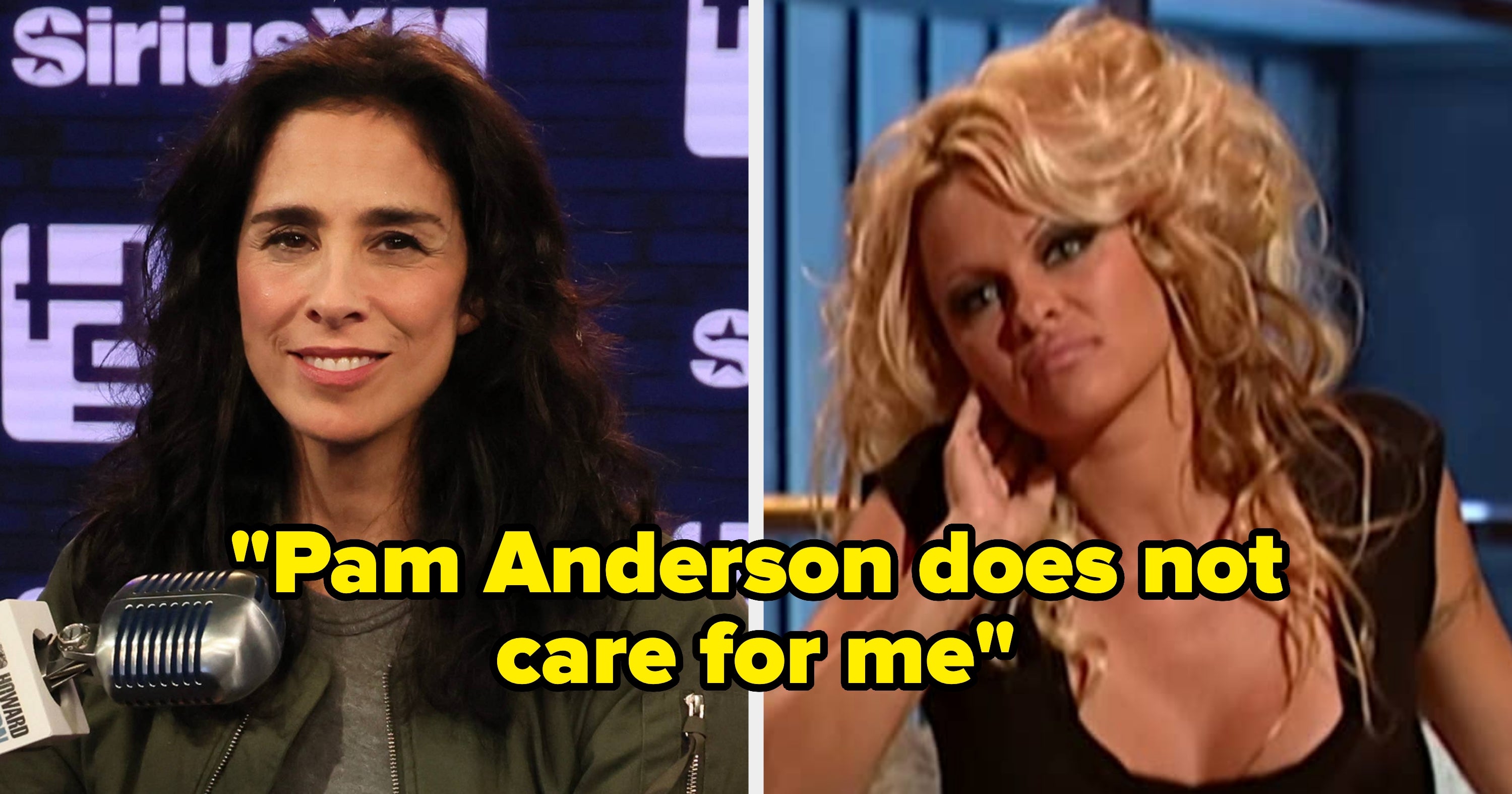 Pamela Anderson Snubbed Sarah Silverman 19 Years After She Joked About Her Sex Tape