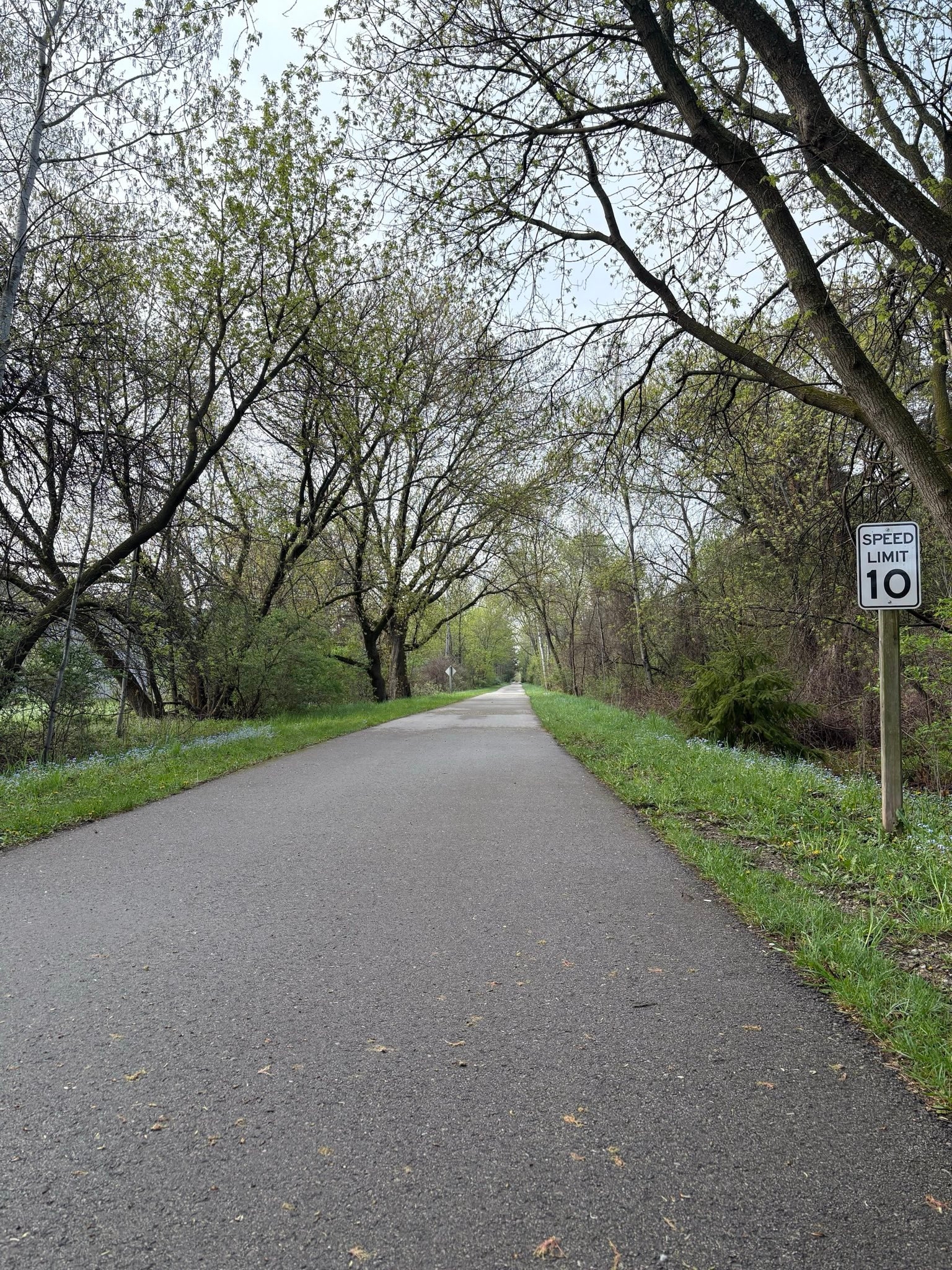 Paved path through wooded area with trees overhead; speed limit sign shows 10 mph