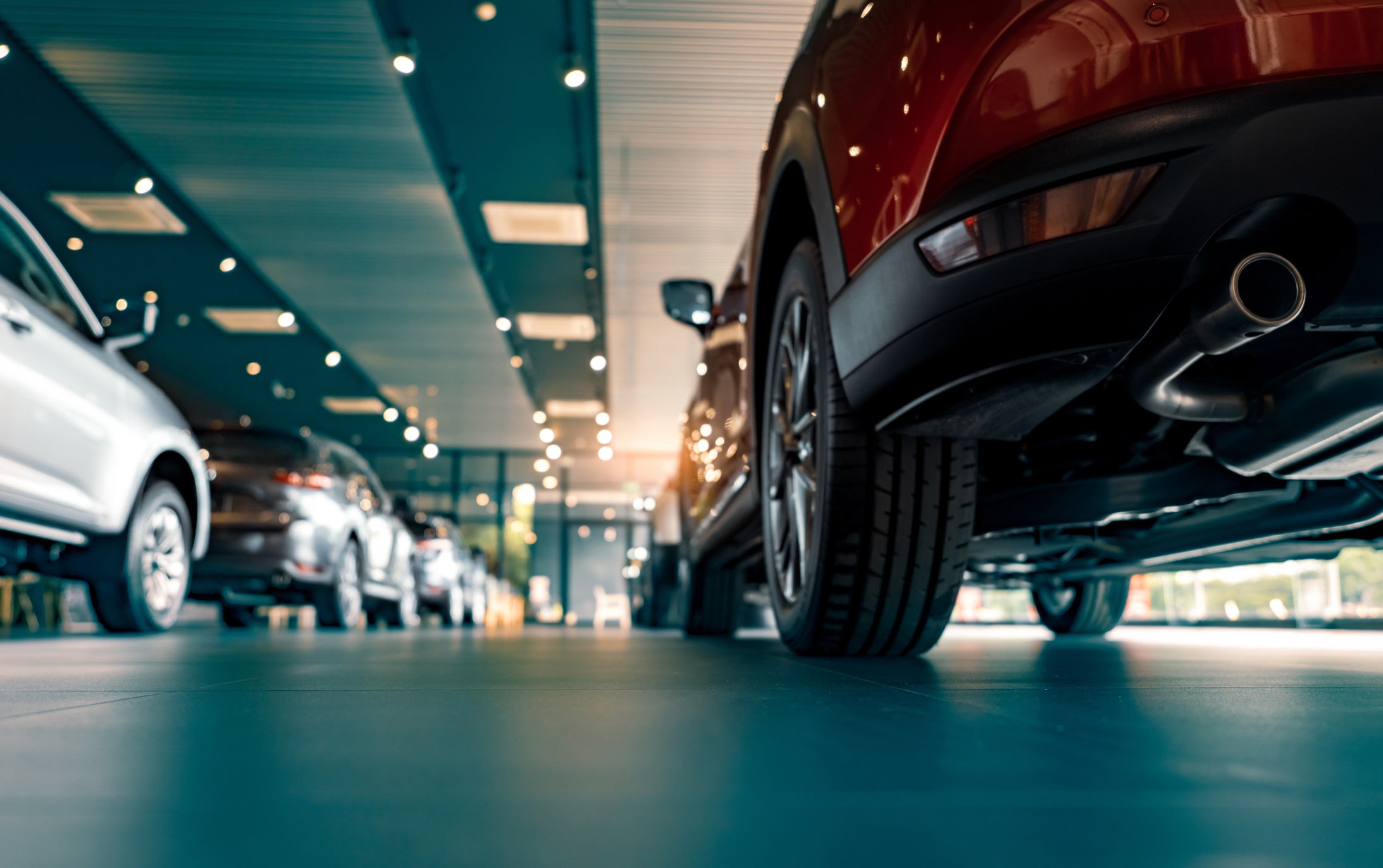 Row of cars in a dealership showroom, highlighting a vehicle's rear close-up, illustrating a focus on automotive sales
