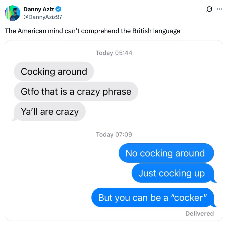 Screenshot of text messages humorously discussing the phrase "cocking around" and its understanding in British English